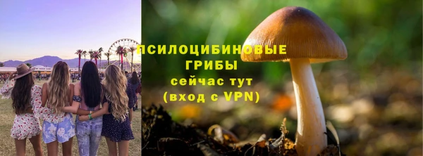 трава Новодвинск