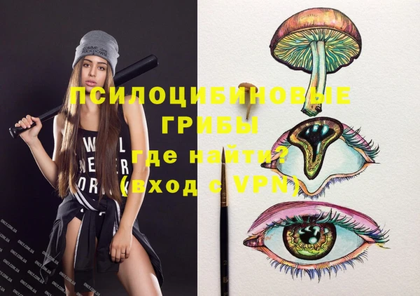 трава Новодвинск
