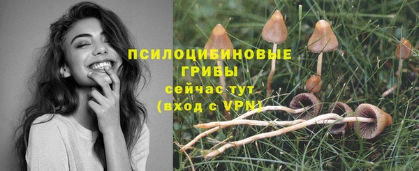 трава Новодвинск