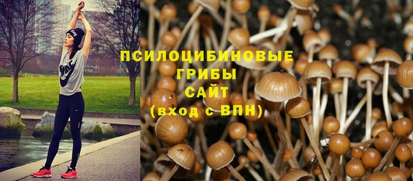 герыч Нягань