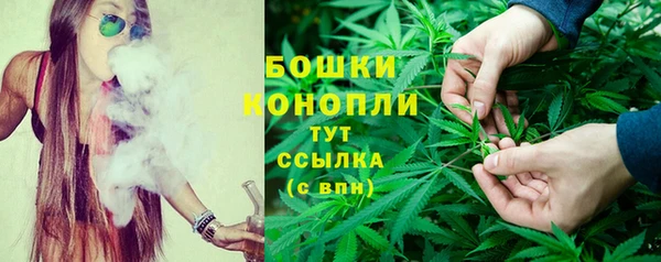 mdma Новозыбков