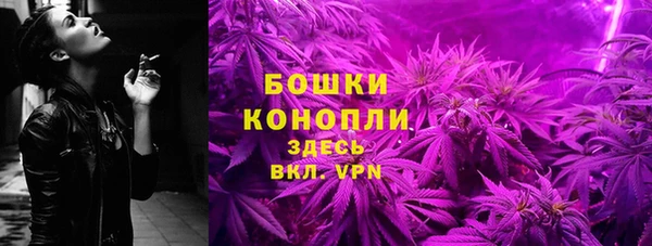 трава Новодвинск