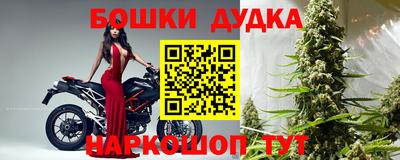 СК Донской